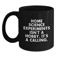 Load image into Gallery viewer, Home Science Experiments Gifts Funny Quote Inspirational - Gifts from Friends for Home Science Enthusiasts, Black Coffee Mug, Christmas Unique Gifts, Quote: Home Science Experiments Isn&#39;t A Hobby - Main
