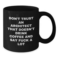 Load image into Gallery viewer, Funny Architect Coffee Mug Gifts from Friends for Graduation, &#39;Don&#39;t Trust An Architect That Doesn&#39;t Drink Coffee And Say F--k A Lot&#39;, Black Coffee Mug, Gifts for Architects - Additional
