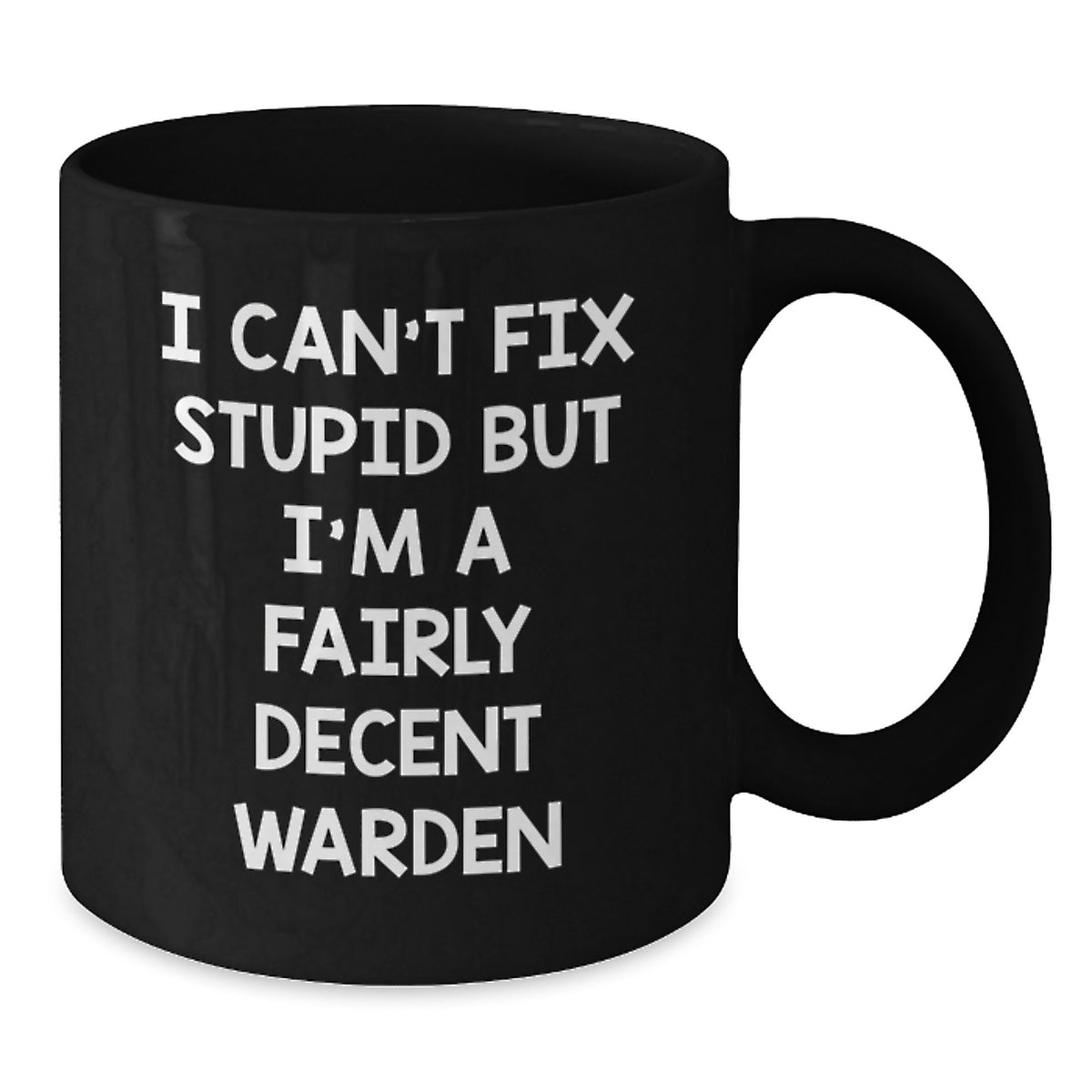 Warden Gifts, Funny Black Coffee Mug, Birthday Unique Presents from Friends, I Can't Fix Stupid But I'm A Fairly Decent Warden - Additional