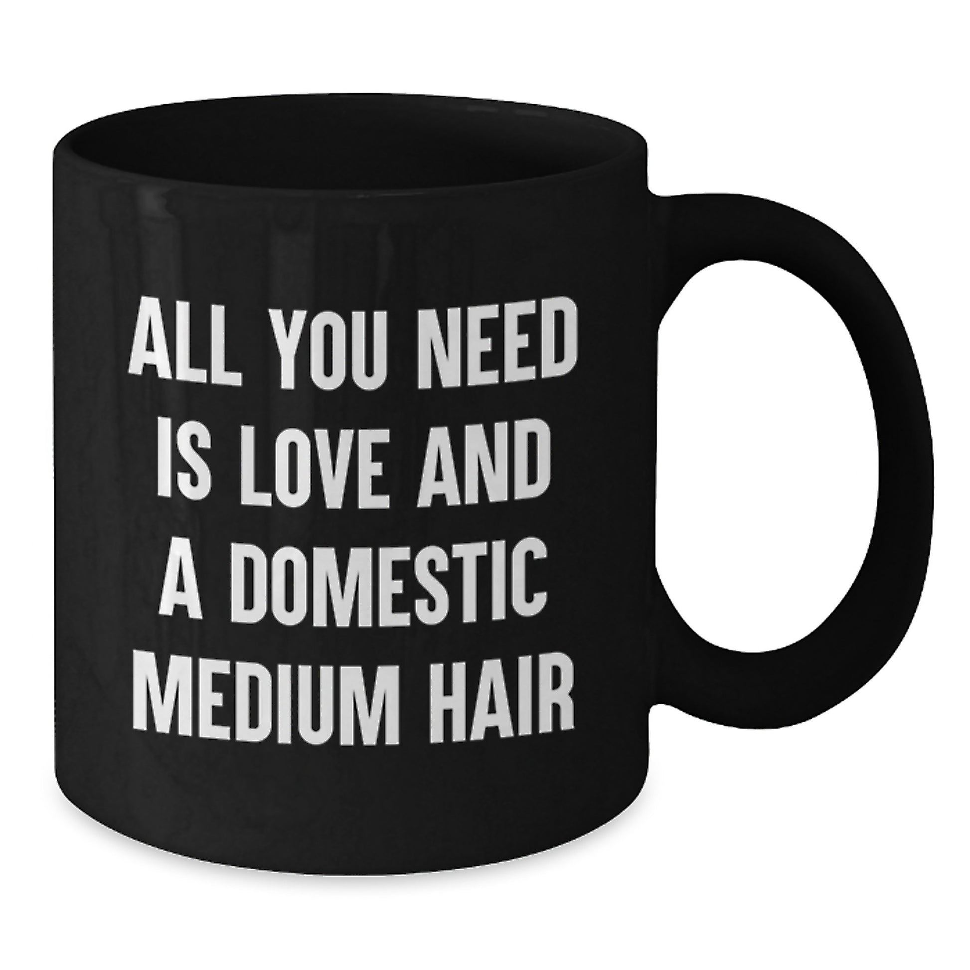 Funny Domestic Medium Hair Cat Gifts for Graduate, Black Coffee Mug with Love Quote, Gifts from Friends - Additional