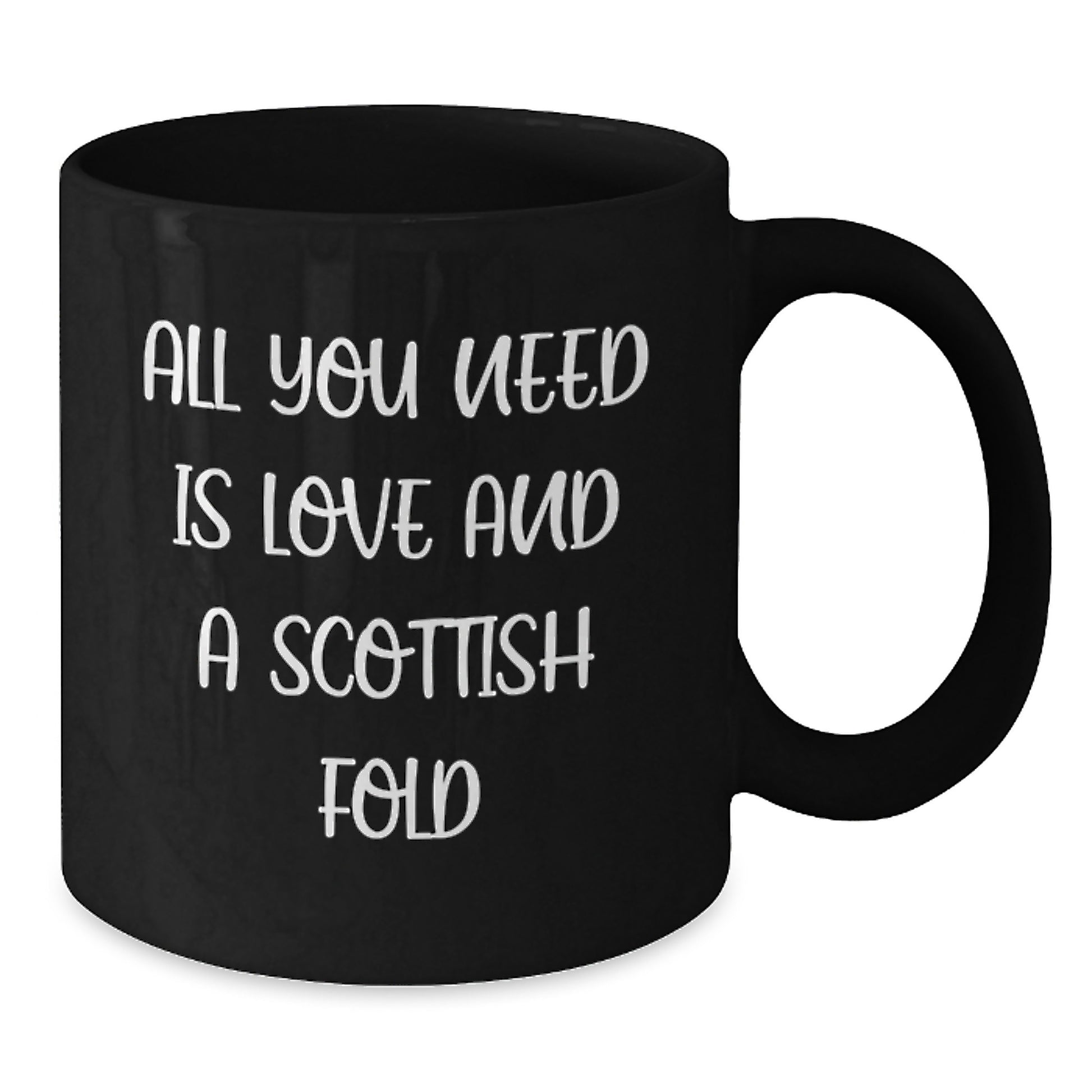 Funny Scottish Fold Cat Lover Gifts from Friends to Family Members for Graduation Unique Mug - Additional