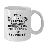 Load image into Gallery viewer, Funny Supervisor Humor Gifts from Friends Christmas Unique Mugs for Supervisor - Additional
