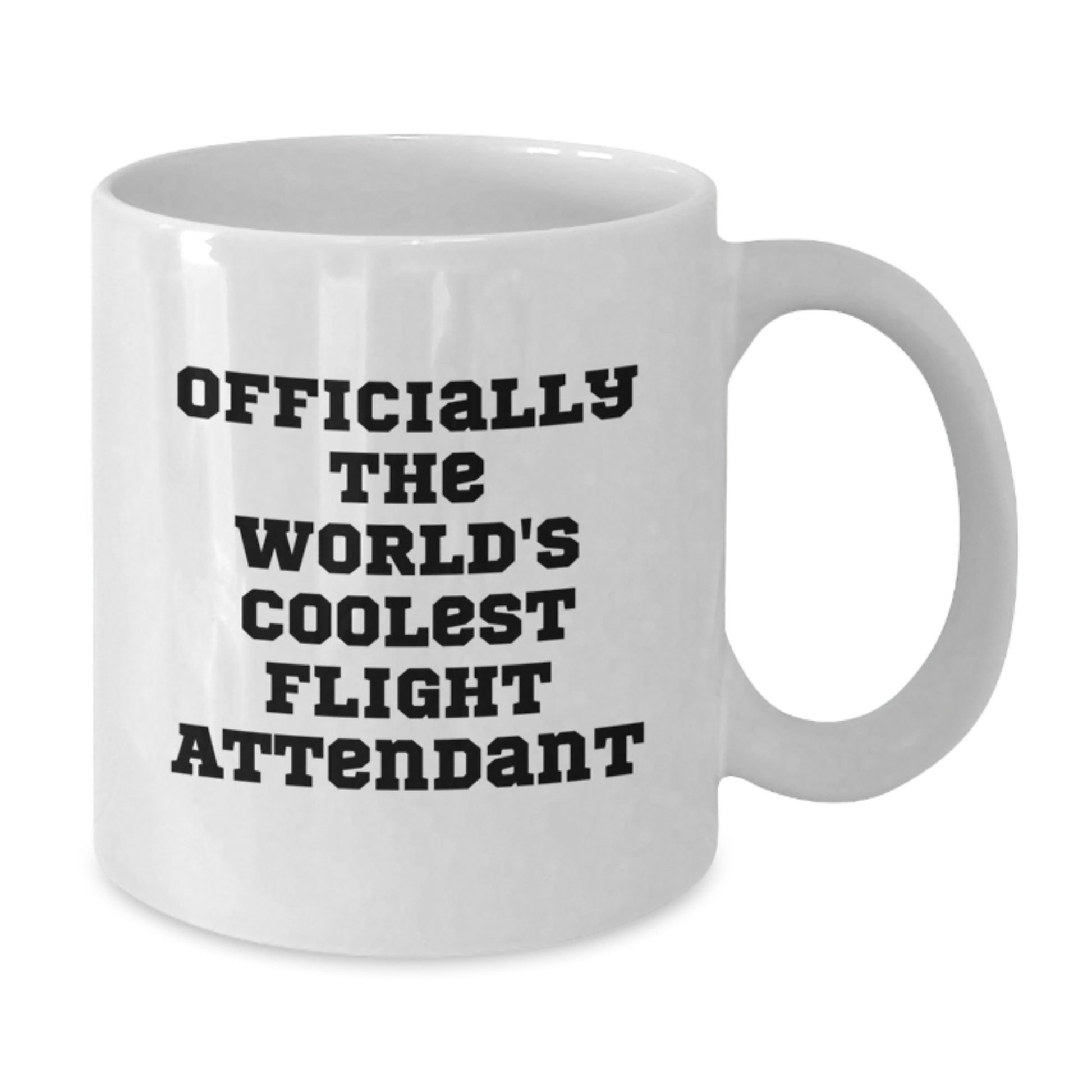 Funny Flight Attendant Gifts from Men, Friends, Coworkers to Flight Attendant, Men, Women, Friends, Coworkers, Family with Officially The World's Coolest Flight Attendant - Additional