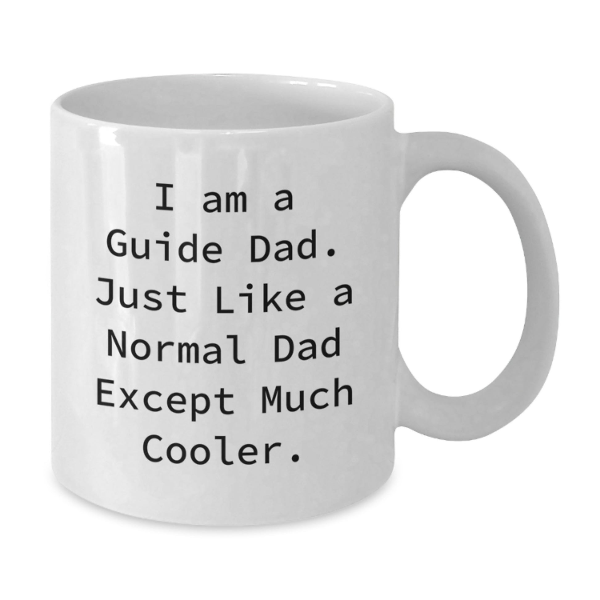 Funny Guide Dad Gifts, White Coffee Mug for Guide Men, Perfect for Birthday Unique Gifts from Dad - Additional