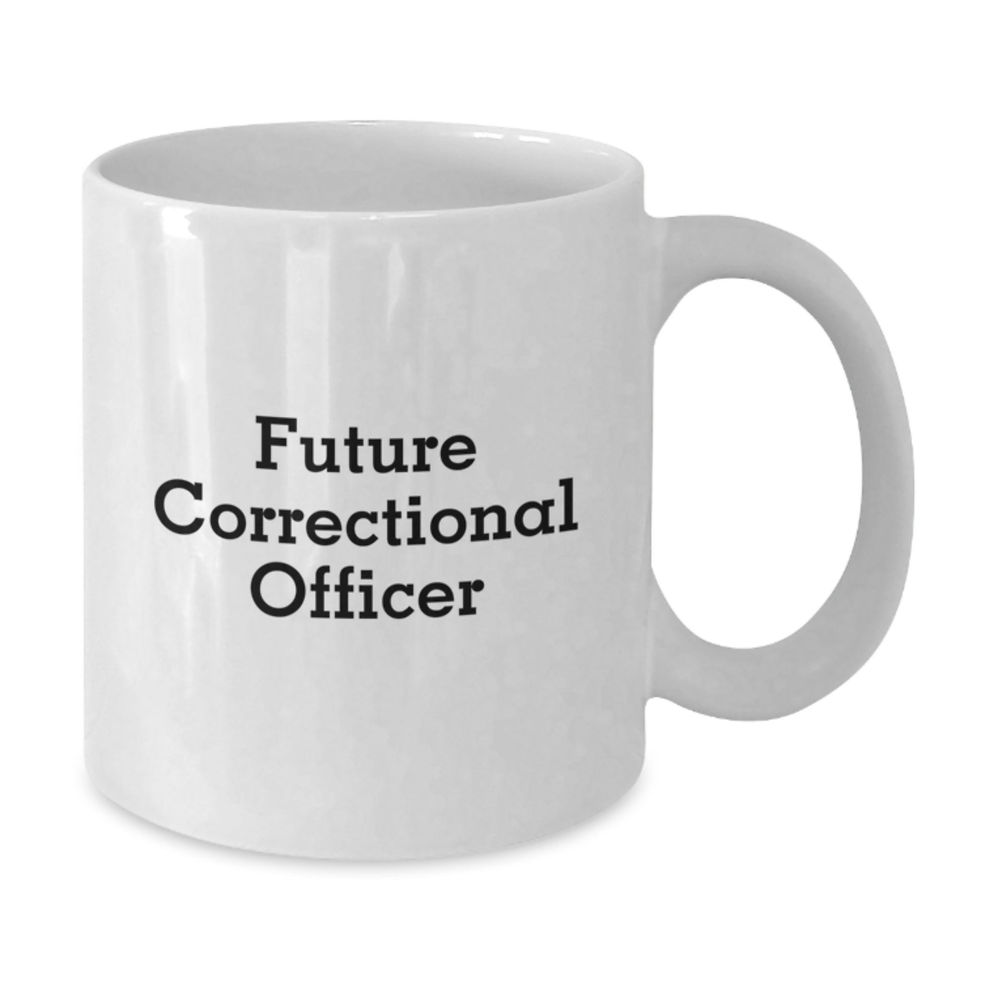 Unique Gifts from Family, Friends, or Coworkers for Correctional Officer Graduation - Funny White Coffee Mug - Additional