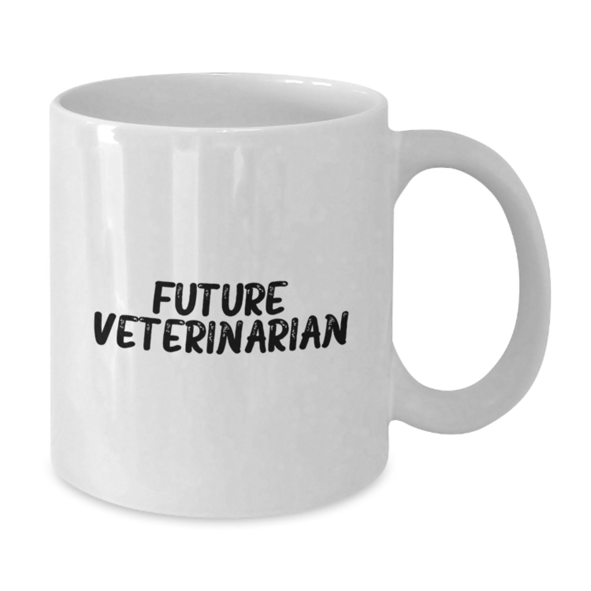 Funny Veterinarian White Coffee Mug Gifts from Friends for Future Veterinarian Graduation Unique Gifts - Additional