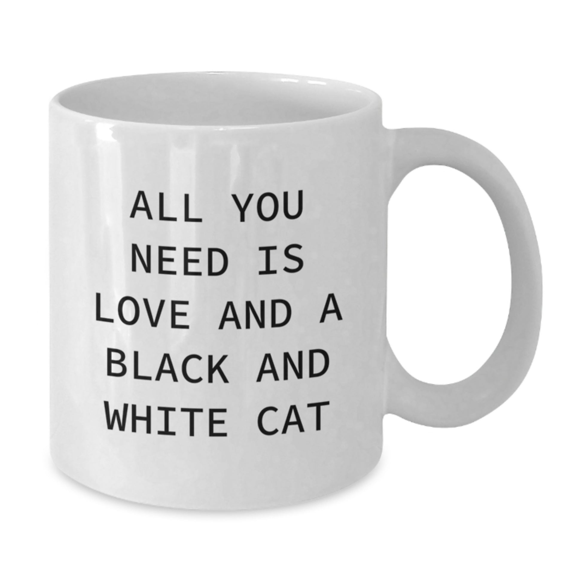 Black and White Cat Lover Gifts for Friends Unique White Coffee Mug with 'All You Need Is Love And A Black And White Cat' Quote - Additional