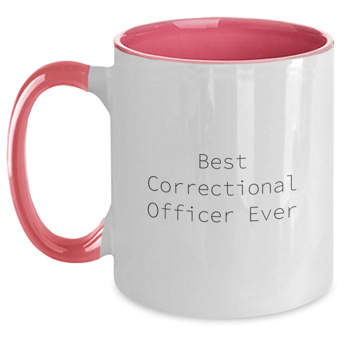 Correctional Officer Gift for Him - Best Correctional Officer Ever - Main