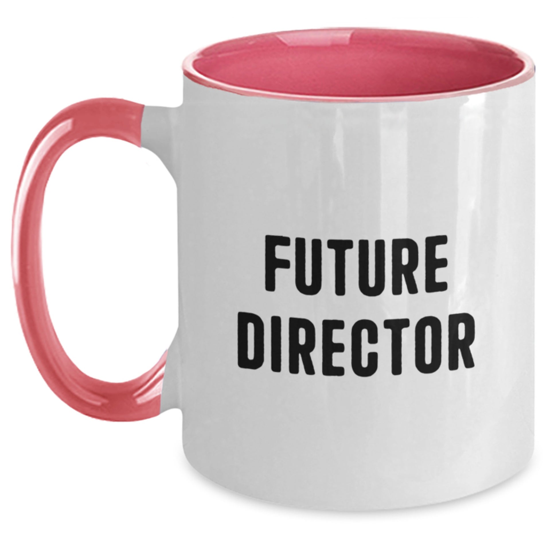 Funny Director Gifts for Future Director, Inspirational Two Tone Coffee Mug from Friends, Black and White Color - Main