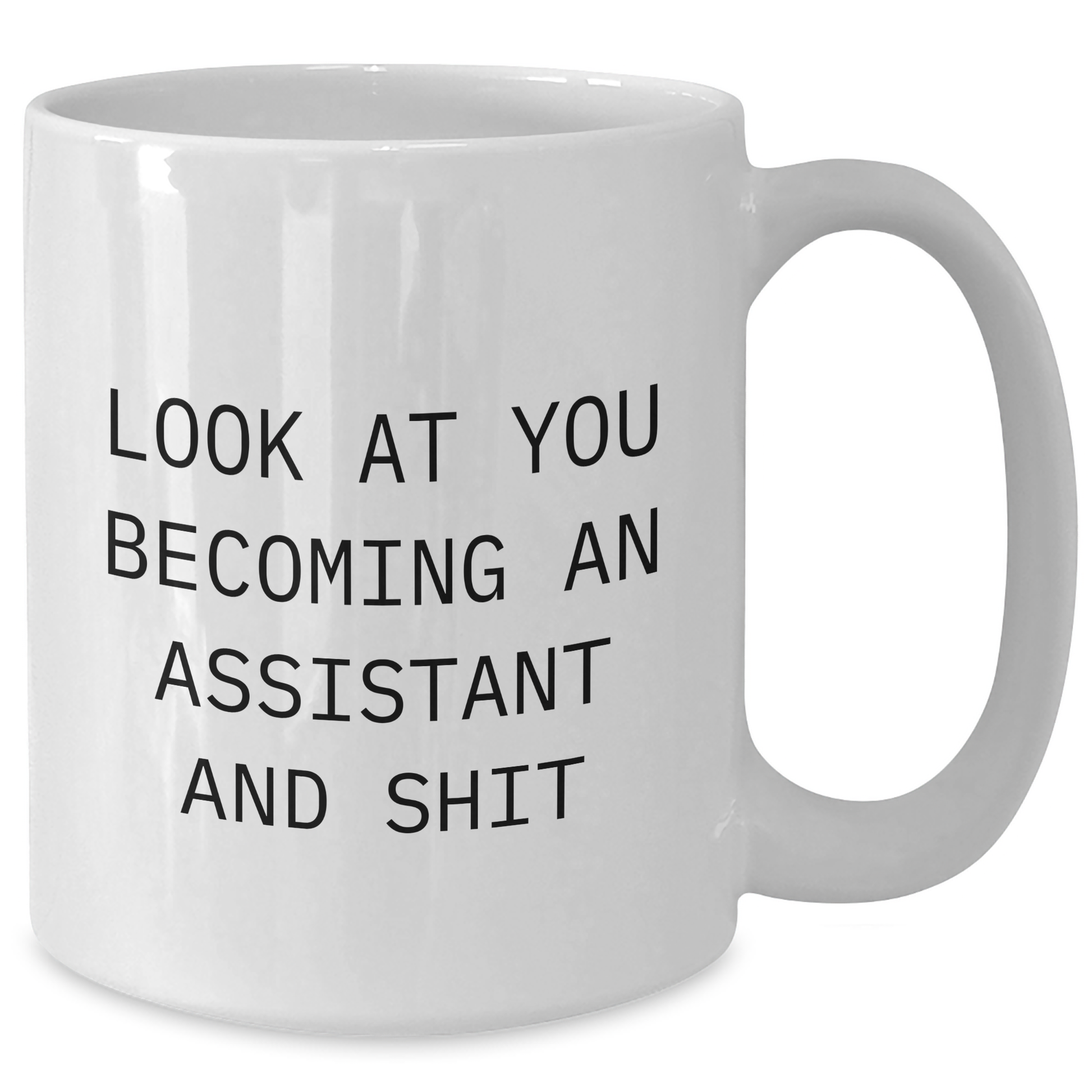 Funny Assistant Gifts from Friends, Coworkers, or Family - Look At You Becoming An Assistant And Shit, White Coffee Mug for Graduation - Additional