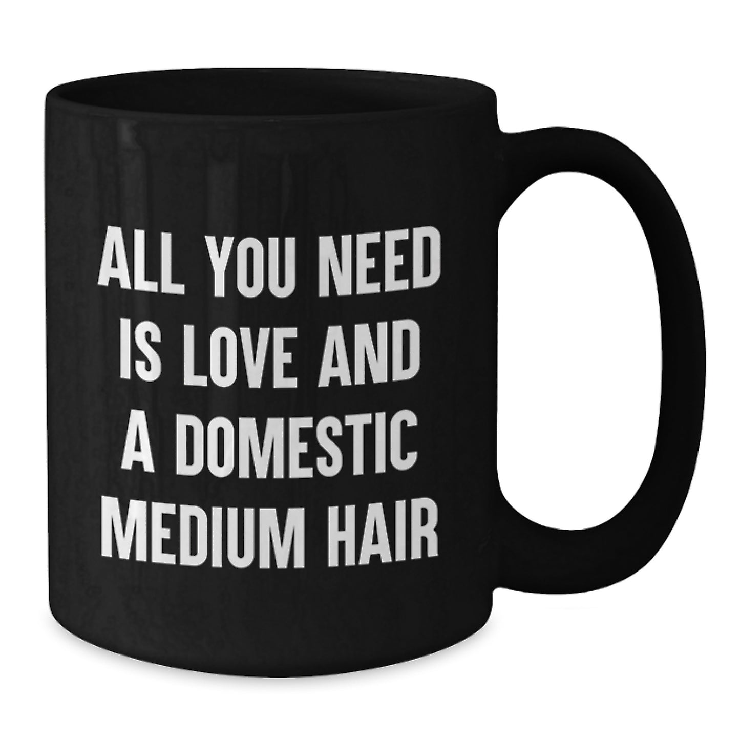 Funny Domestic Medium Hair Cat Gifts for Graduate, Black Coffee Mug with Love Quote, Gifts from Friends - Additional