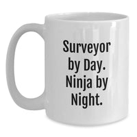 Load image into Gallery viewer, Funny Surveyor White Coffee Mug, Gifts from Friends for Men Surveyor, Surveyor By Day. Ninja By Night. Christmas Unique Gifts - Main
