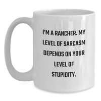 Load image into Gallery viewer, Funny Rancher Gifts for Men - White Coffee Mug with I&#39;m A Rancher Sarcasm Quote, Perfect for Christmas Unique Gifts from Family to Husband - Main

