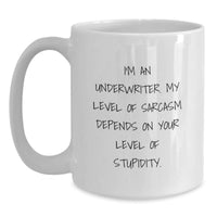 Load image into Gallery viewer, Funny Underwriter Gifts from Friends - White Coffee Mug for Underwriter with Sarcasm Quote - Christmas Unique Gifts for Men - Main
