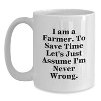 Load image into Gallery viewer, Funny Farmer Gifts for Men, White Coffee Mug, I&#39;m Never Wrong, Christmas Unique Gifts from Family - Main
