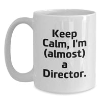Load image into Gallery viewer, Funny Quotes for Directors White Coffee Mug Gifts from Friends on Valentine's - Main
