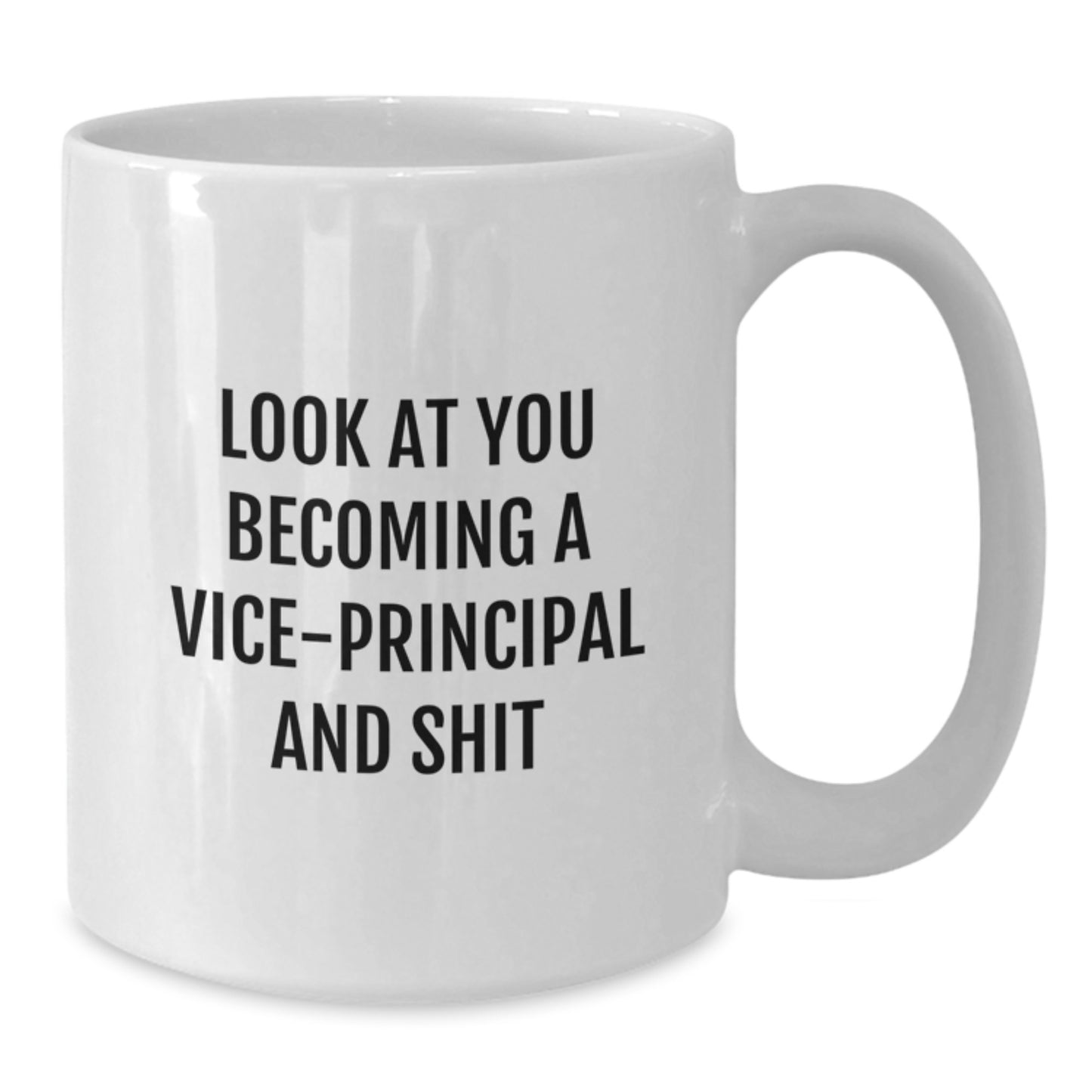 Vice-Principal Funny Gifts for Her or Him, White Coffee Mug for Graduation, Look At You Becoming A Vice-Principal And Shit, Gifts from Family to Coworkers, Gifts for Men or Women - Additional