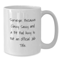 Load image into Gallery viewer, Funny Surveyor Gifts - White Coffee Mug for Birthday, &#39;Surveyor. Because Classy Sassy And A Bit Fearlessy Is Not An Official Job Title.&#39; - Gifts from Friends, Coworkers or Family - Additional
