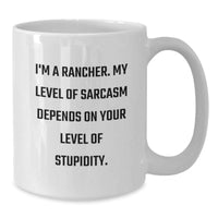 Load image into Gallery viewer, Funny Rancher Gifts for Men - White Coffee Mug with I&#39;m A Rancher Sarcasm Quote, Perfect for Christmas Unique Gifts from Family to Husband - Additional
