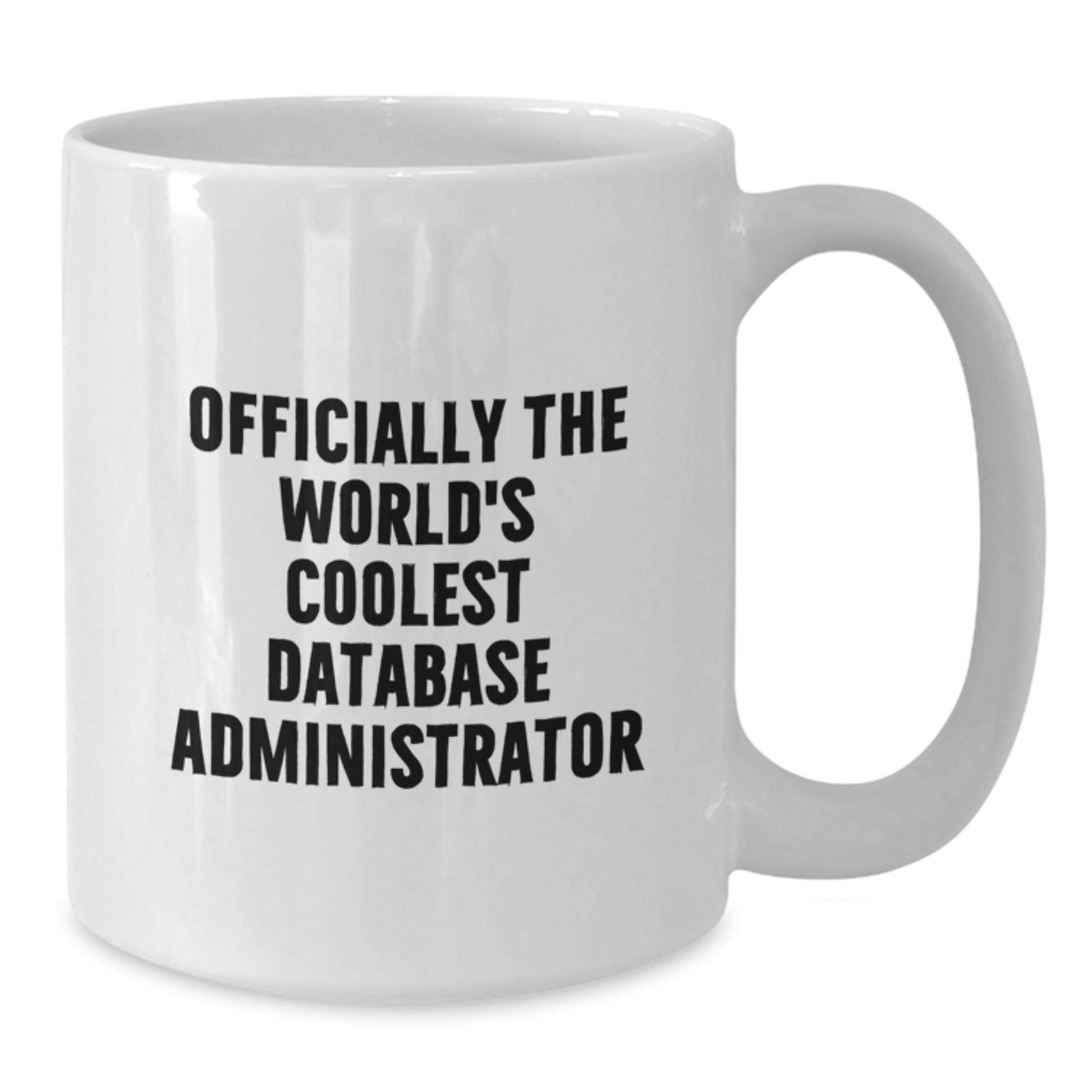 Funny Database Administrator Christmas Unique Gifts from Friends for Men Women White Coffee Mugs - Additional