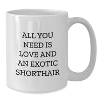Load image into Gallery viewer, Exotic Shorthair Cat Lovers White Coffee Mug, Gift from Friends to Family, Christmas Unique Presents - Additional
