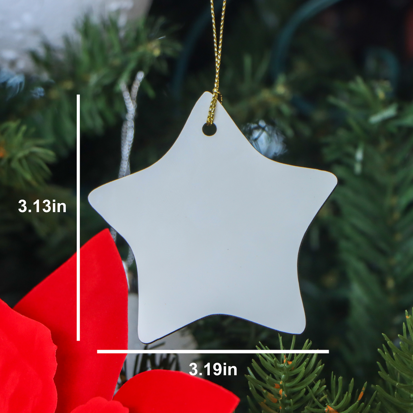 Gifts from Men to School Psychologists - I May Be A School Psychologist, But I Can't Fix Stupid People. Star Ornament for Christmas - Image 2