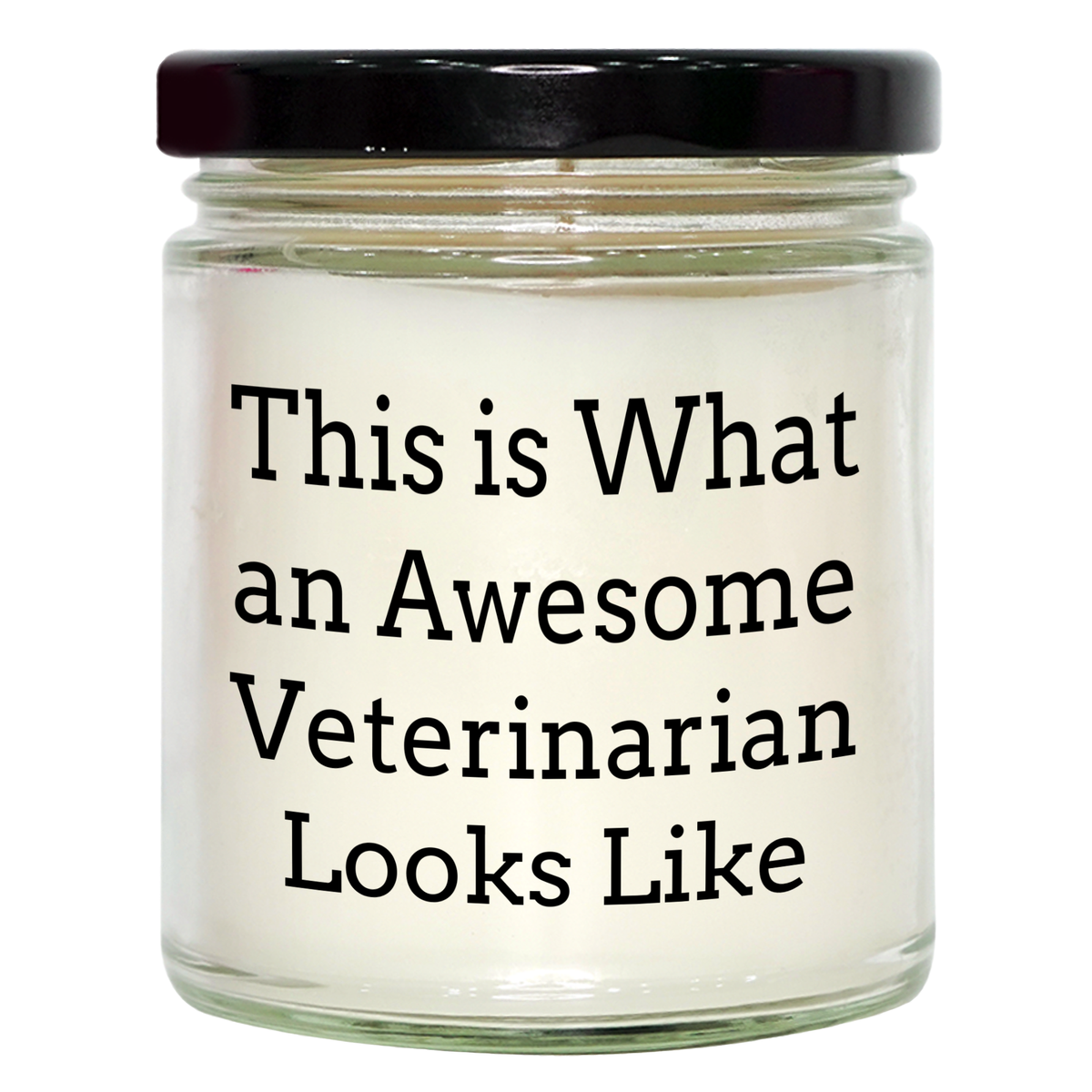 Veterinarian Professionalism 9oz Vanilla Soy Candle, Inspirational Quote, Father's Day Unique Gifts for Men from Family - Image 1