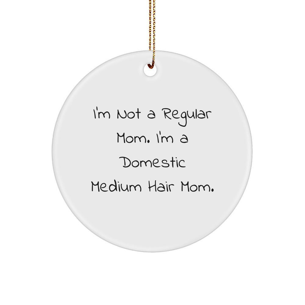 Domestic Medium Hair Cat Circle Ornament Gifts from Mom, 'I'm Not A Regular Mom. I'm A Domestic Medium Hair Mom.' for Christmas - Image 1