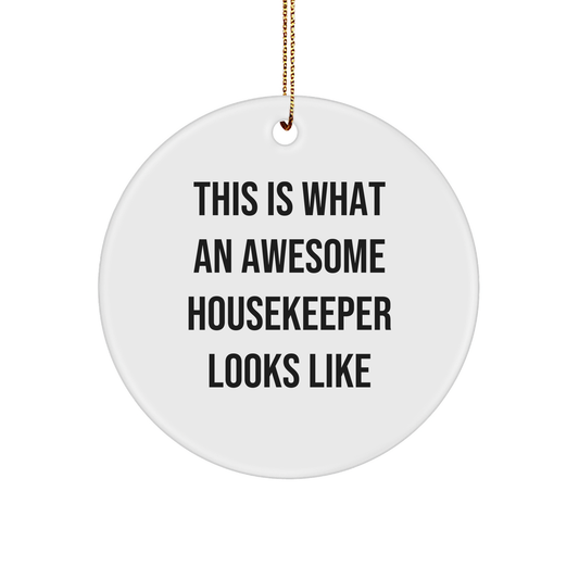 Housekeeper's Heartfelt Christmas Unique Gift Ideas for Friends, Family, or Coworkers - This Is What An Awesome Housekeeper Looks Like Circle Ornament on a Gold Tone String - Image 1