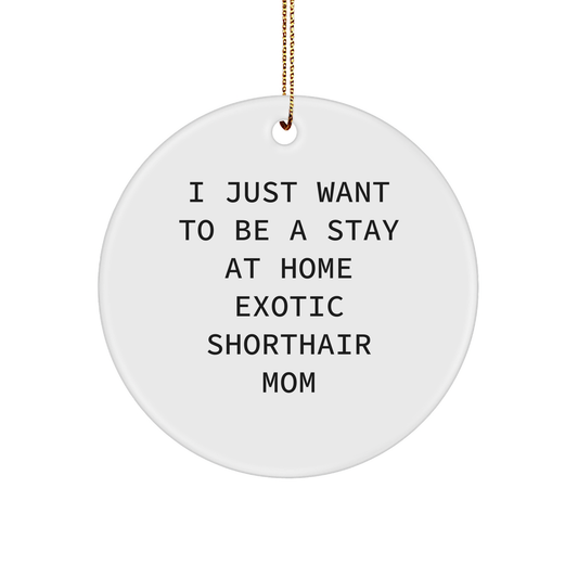 Exotic Shorthair Cat Mom Gifts from Home, Inspirational Circle Ornament for Exotic Shorthair Cat Lovers, Funny Quote Christmas Unique Gifts for Family, Friends, or Coworkers - Image 1