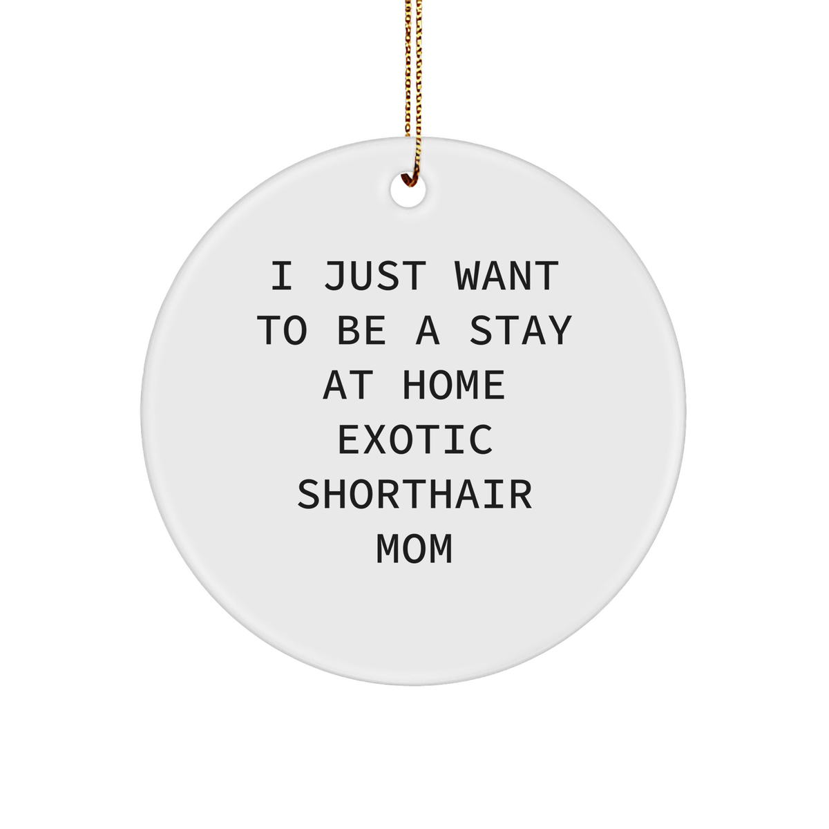 Exotic Shorthair Cat Mom Gifts from Home, Inspirational Circle Ornament for Exotic Shorthair Cat Lovers, Funny Quote Christmas Unique Gifts for Family, Friends, or Coworkers - Image 1