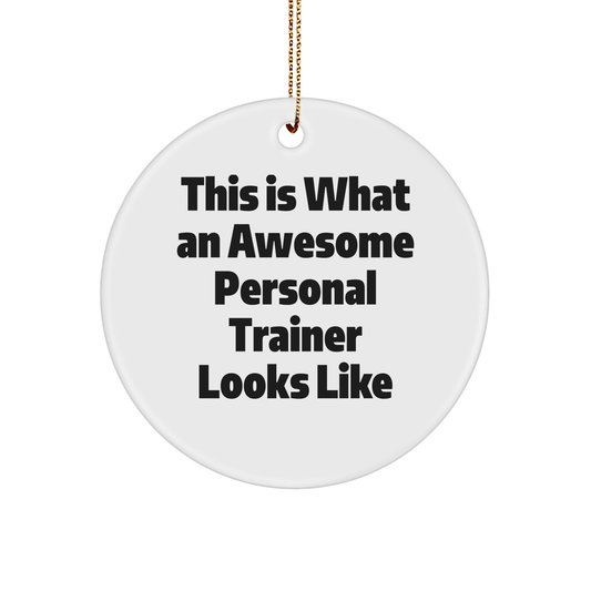 Personal Trainer Gifts: Funny Inspirational Quote Ornament for Fitness Enthusiasts, Unique Christmas Unique Gifts for Coworkers, Employees, or Friends, Sturdy MDF Circle Ornament with Gold Tone String - Image 1