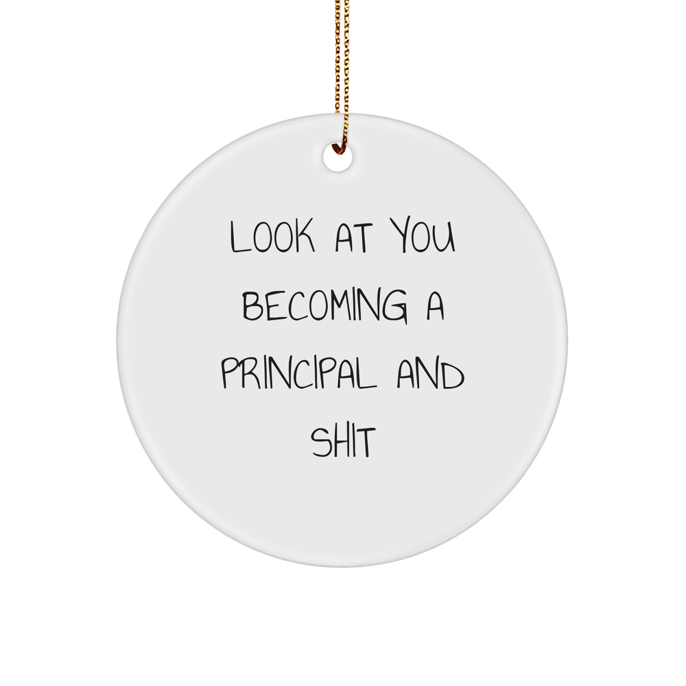Funny Principal Ornament Gifts: Look at You Becoming a Principal and Shit - Unique Christmas Unique Gifts for Principals, Funny Educational Gifts for Teachers, Graduation Gifts for Principals - Image 1