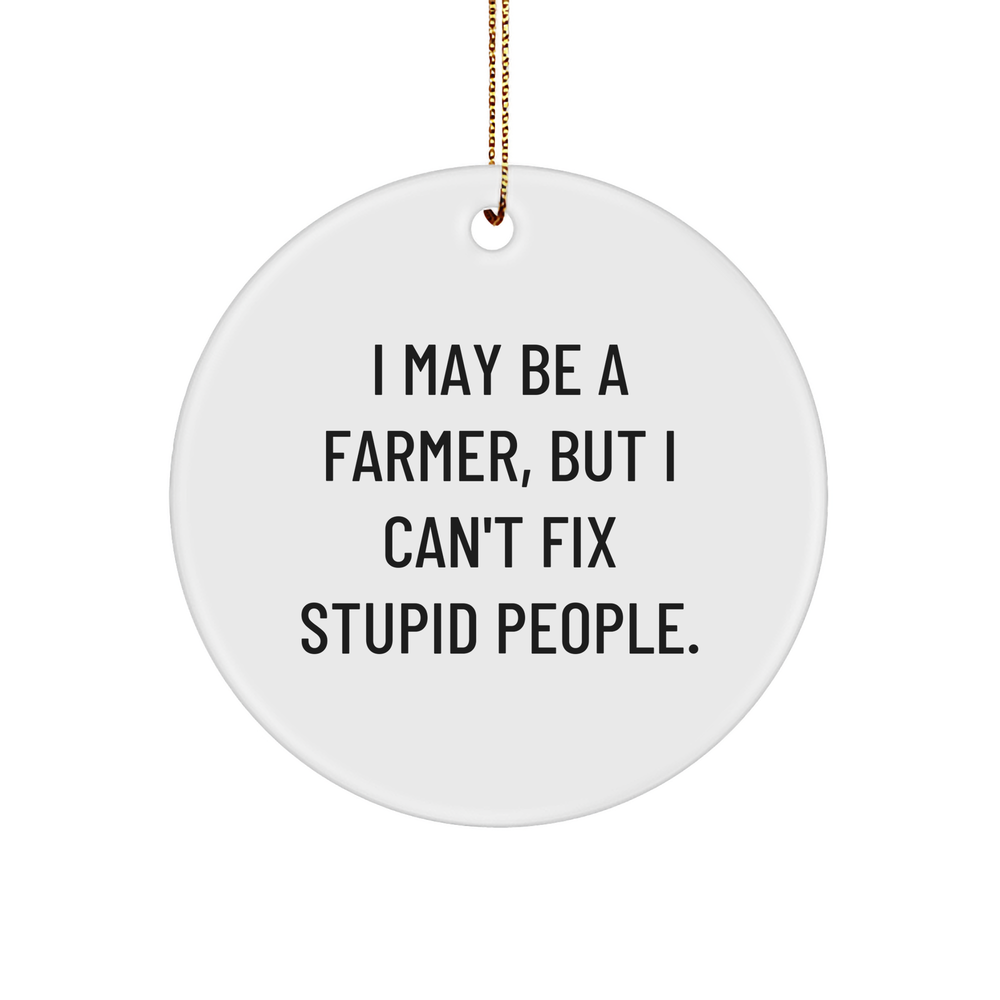 Funny Farmer Gifts for Men, I May Be A Farmer But I Can't Fix Stupid People, Christmas Circle Ornament, White Sturdy MDF, Gold Tone, Unique, Funny Quote - Image 1