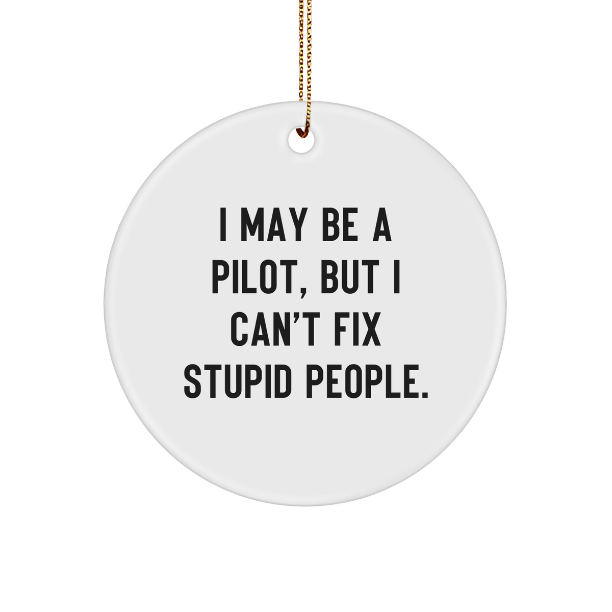 Pilot Gifts for the Holidays - I May Be a Pilot, But I Can't Fix Stupid People Funny Circle Ornament for Christmas, Unique Pilots Gift Ideas from Family to Friends - Image 1