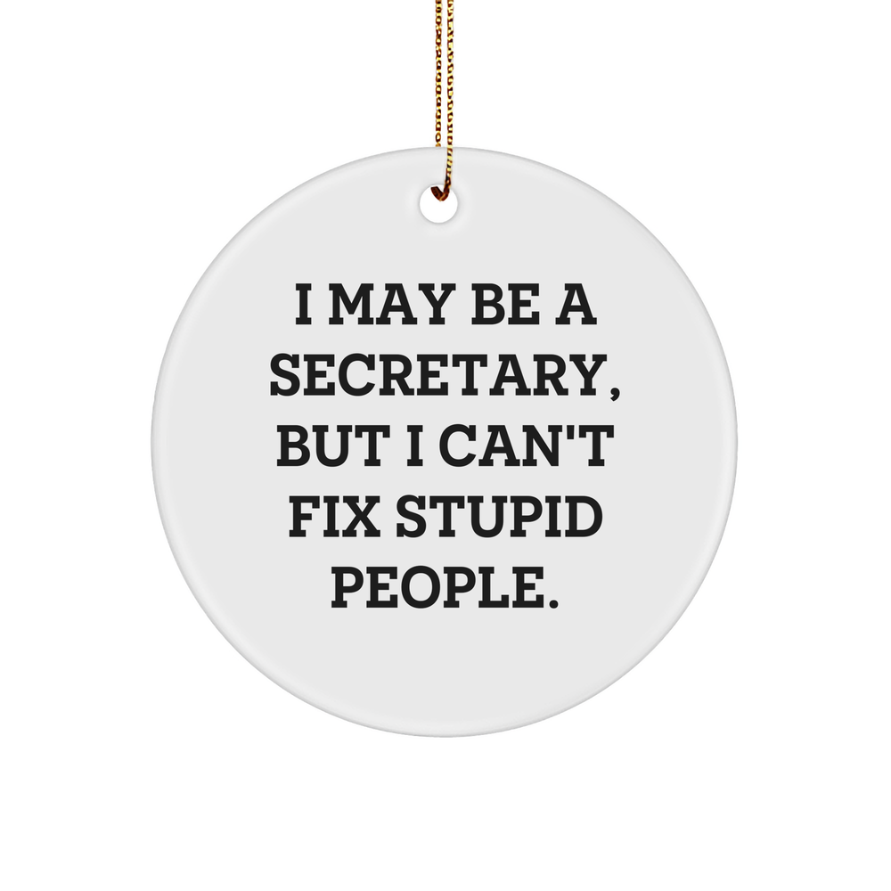 Funny Secretary Circle Ornament, I May Be A Secretary Gifts, Secretary Unique Gifts from Men, Women, Coworkers, Family, Secretary Circle Ornament for Christmas, Holiday, Office, Home Decor - Image 1