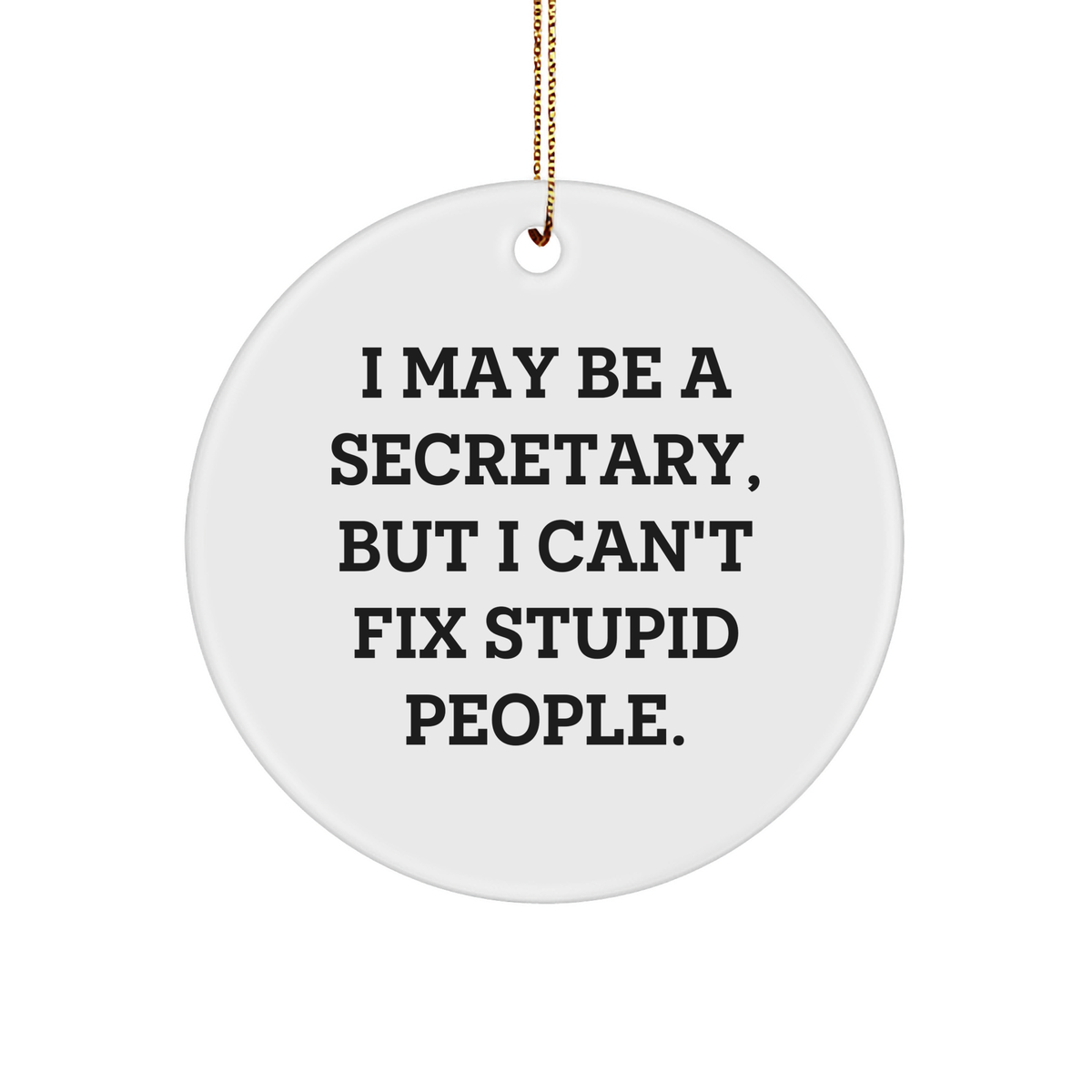 Funny Secretary Circle Ornament, I May Be A Secretary Gifts, Secretary Unique Gifts from Men, Women, Coworkers, Family, Secretary Circle Ornament for Christmas, Holiday, Office, Home Decor - Image 1