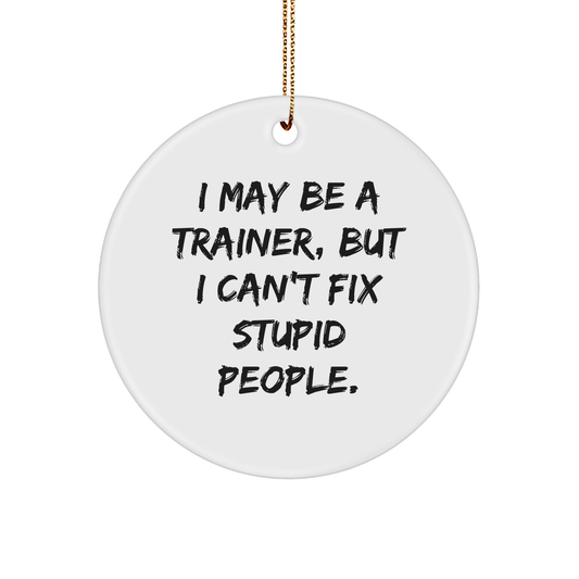 Trainer Gifts | Funny Trainer Christmas Unique Gifts | Sarcastic I May Be A Trainer But I Can't Fix Stupid People Circle Ornament - Image 1