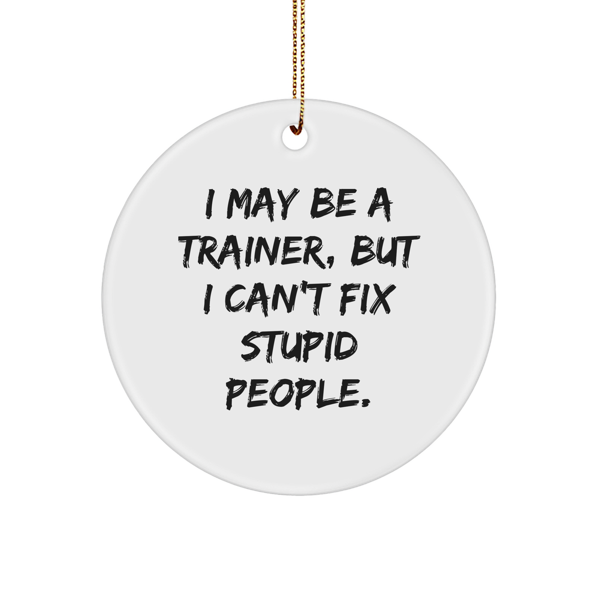 Trainer Gifts | Funny Trainer Christmas Unique Gifts | Sarcastic I May Be A Trainer But I Can't Fix Stupid People Circle Ornament - Image 1