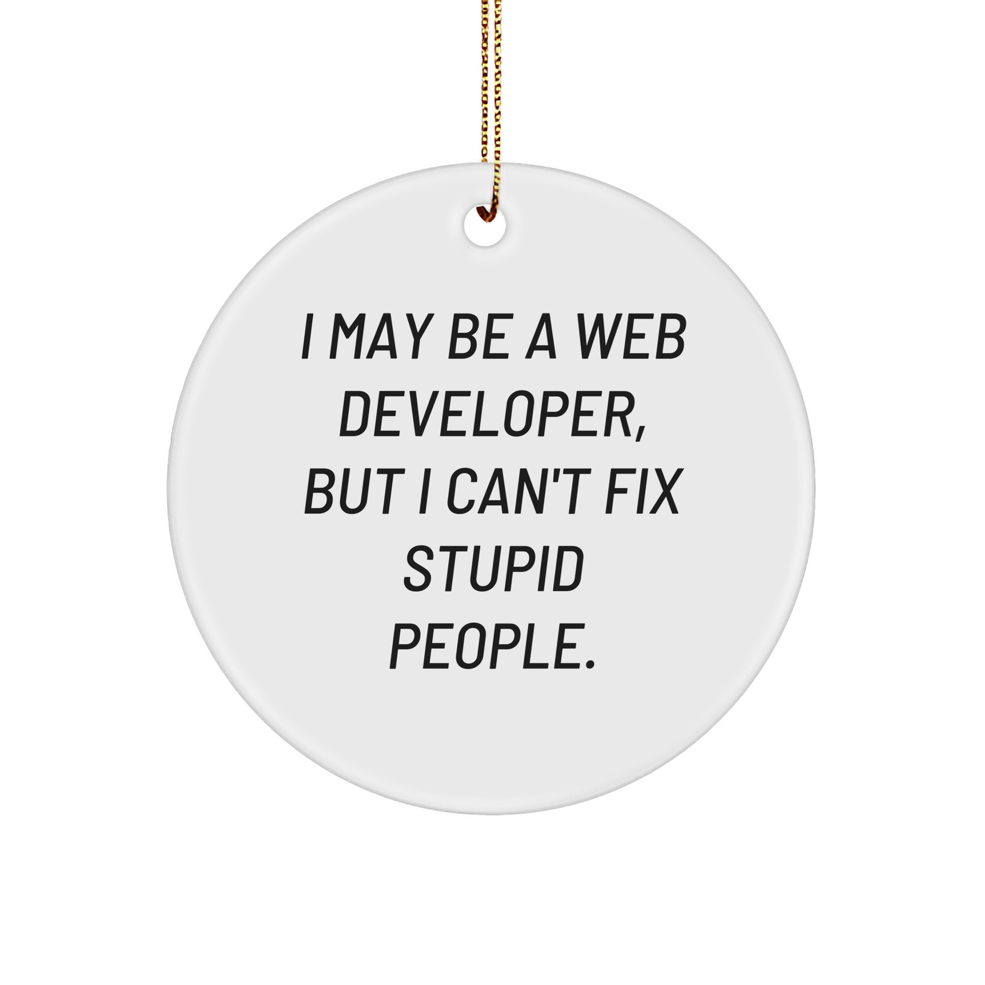 Funny Web Developer Gift for Colleagues: I May Be A Web Developer, But I Can't Fix Stupid People. Circle Ornament for Web Developers, Celebrate Christmas Unique Gifts for Funny Programmer - Image 1