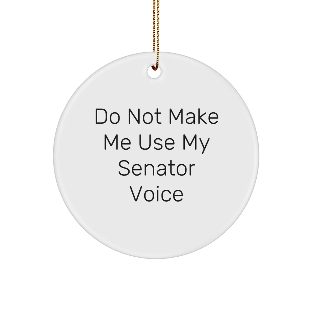 Senator Gifts, Funny Christmas Circle Ornament, 'Do Not Make Me Use My Senator Voice', Gifts from Friends, for Senator, Unique Senator Ornament - Image 1