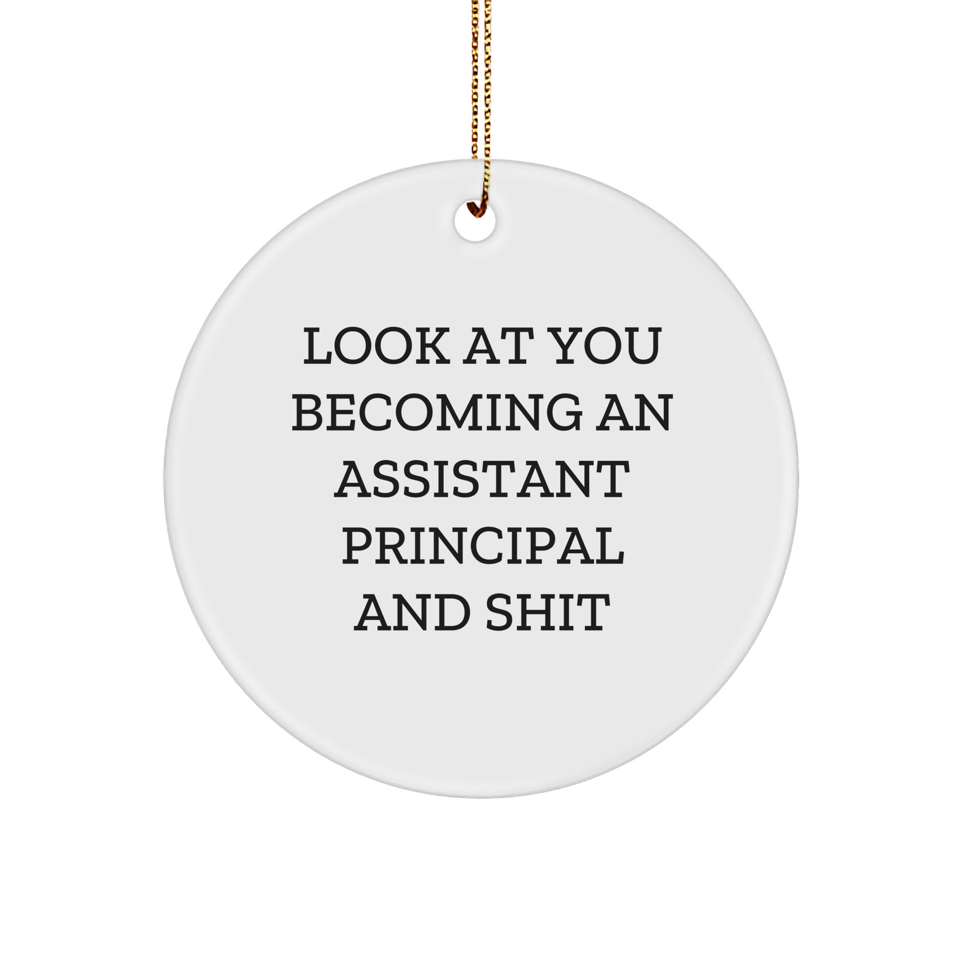 Funny Assistant Principal Circle Ornament Gifts from Friends and Family, 'Look At You Becoming An Assistant Principal And Shit' Christmas Unique Gifts - Image 1