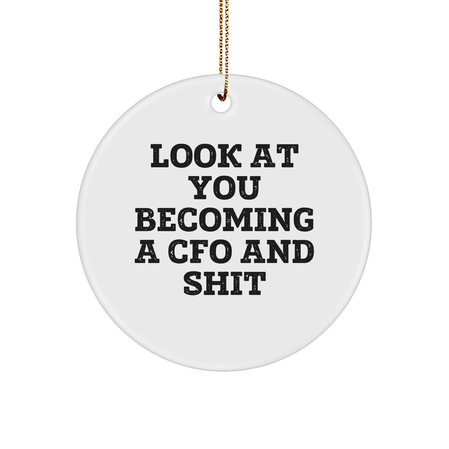 Funny CFO Gifts from Friends to Men, 'Look At You Becoming A CFO And Shit' Circle Ornament for Christmas - Image 1