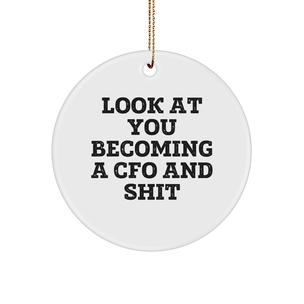 Funny CFO Gifts from Friends to Men, 'Look At You Becoming A CFO And Shit' Circle Ornament for Christmas - Image 1