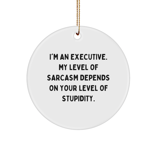 Executive Circle Ornament - Sarcasm Level Depends on Your Level of Stupidity, Gifts from Men to Executives, Funny Quote Christmas Ornament for Office Decor - Image 1