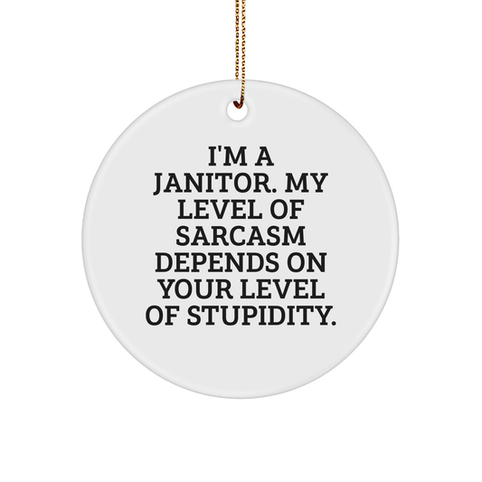 Janitor Gifts: Funny I'm A Janitor My Level Of Sarcasm Depends On Your Level Of Stupidity Christmas Circle Ornament for Janitors, Humorous Janitor Appreciation Gifts from Friends - Image 1