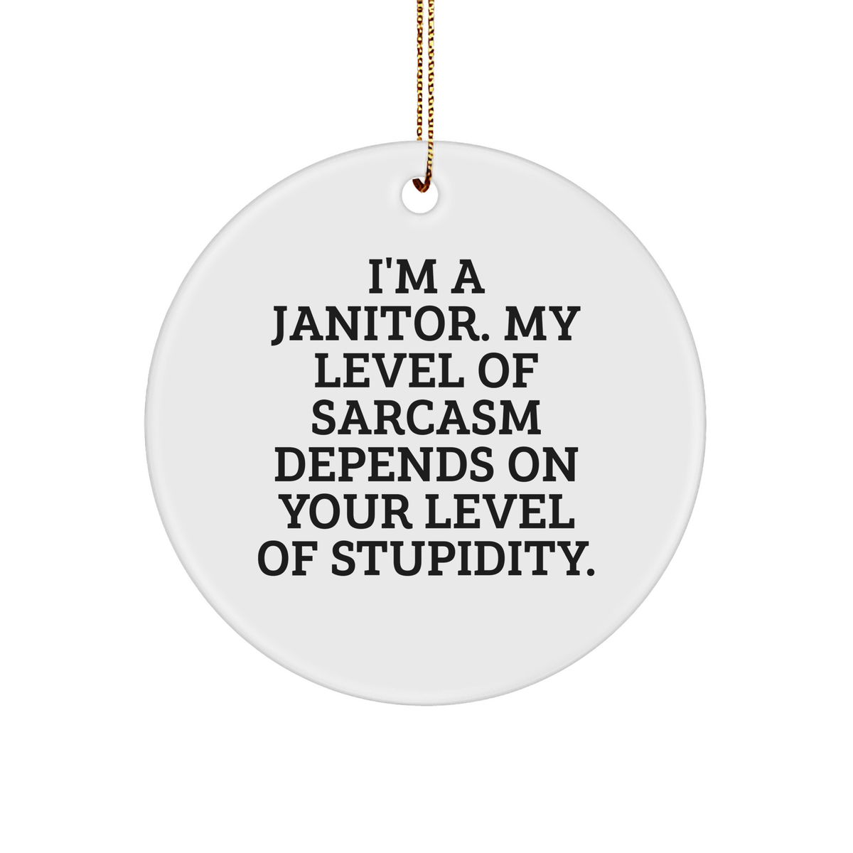 Janitor Gifts: Funny I'm A Janitor My Level Of Sarcasm Depends On Your Level Of Stupidity Christmas Circle Ornament for Janitors, Humorous Janitor Appreciation Gifts from Friends - Image 1