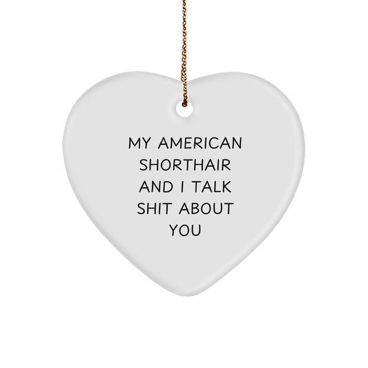 My American Shorthair And I Talk Shit About You Funny American Shorthair Cat Gifts Heart Ornament For Christmas Unique Gifts From Wife To Husband - Image 1