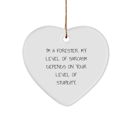 Forester Funny Christmas Heart Ornament Gifts from Men to Friends for Forester - Image 1