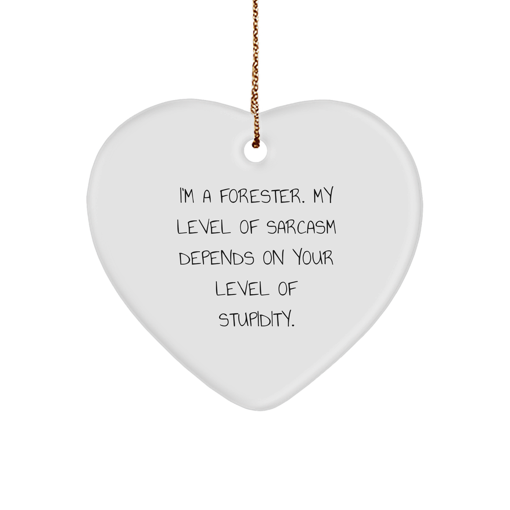 Forester Funny Christmas Heart Ornament Gifts from Men to Friends for Forester - Image 1